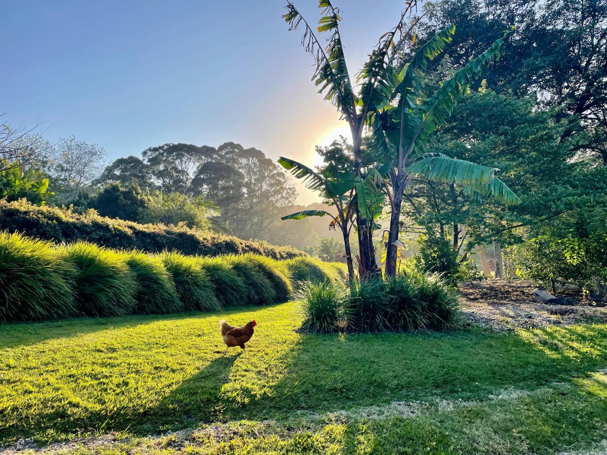 Lily Pad At Byron Bay Villa Exterior photo